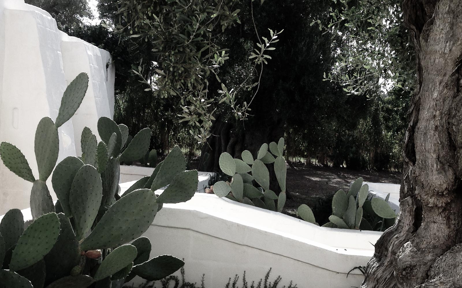 L'eccellenza nel  Verde